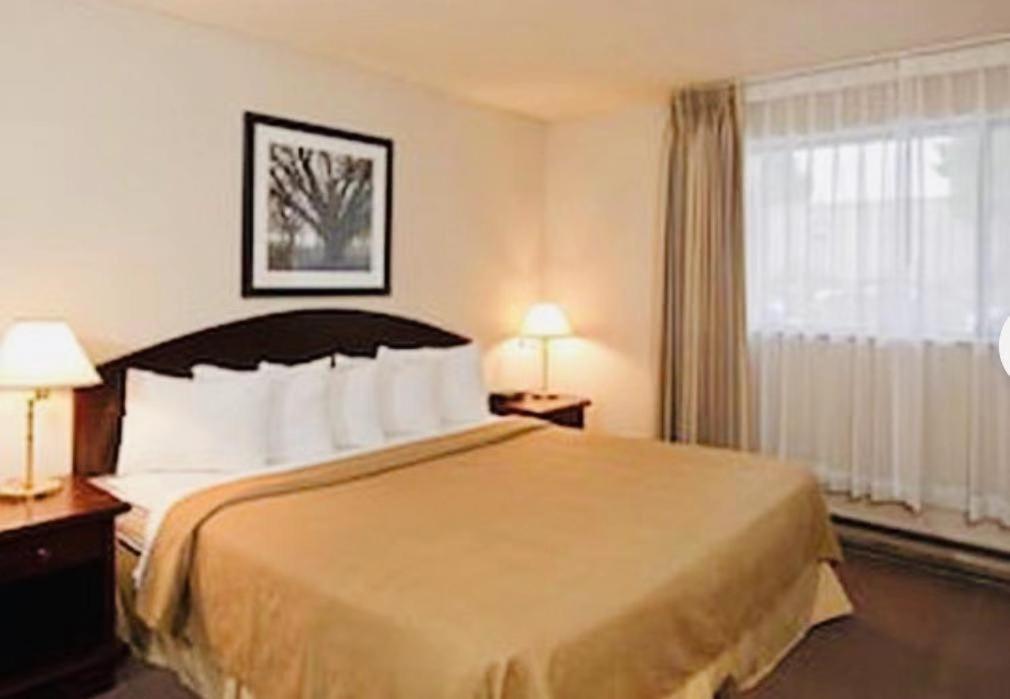 Pitt Meadows Art Infiniti Hotel מראה חיצוני תמונה